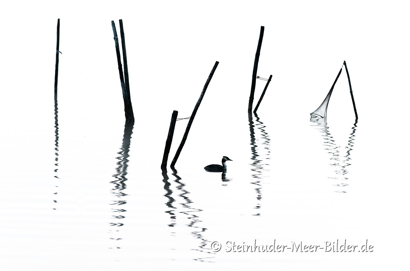 Haubentaucher-Steinhuder-Meer-Minimalismus-Schwarz-Weiss-Silhouetten-Fotos-Naturfotos-Bilder-Tierfotos-A_NIK5915a