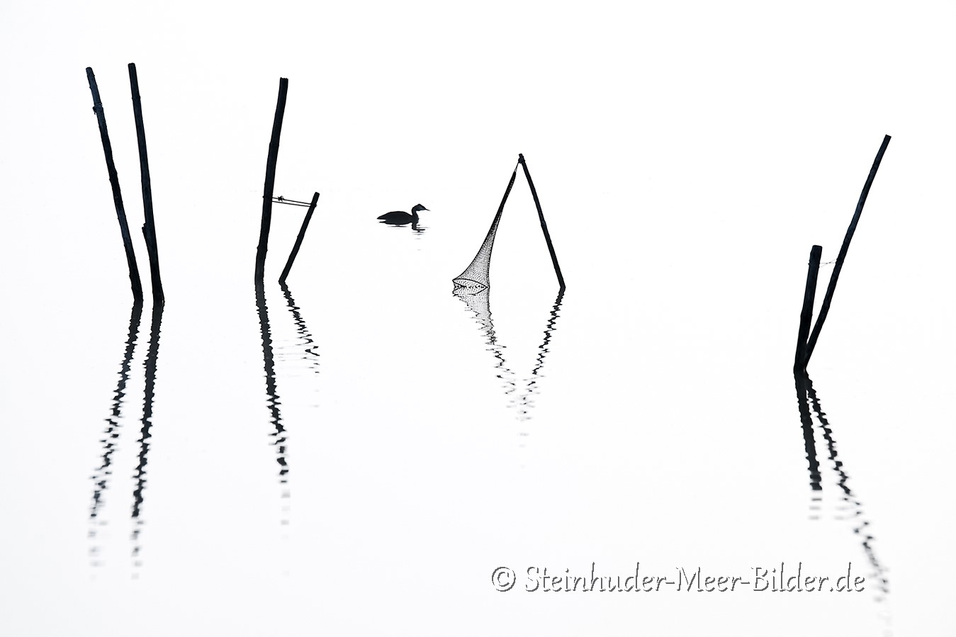 Haubentaucher-Steinhuder-Meer-Minimalismus-Schwarz-Weiss-Silhouetten-Fotos-Naturfotos-Bilder-Tierfotos-A_NIK6001