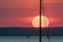 Sonnenuntergang-Boote-Steinhude-Steinhuder Meer-Landschaften-Abendstimmung-See-A_NIK500_0199