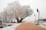 promenade-winter-eisdecke-raureif-bilder-landschaften-steinhuder-meer-fotos-A7RII-DSC01183