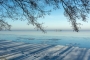 winter-eisdecke-raureif-bilder-landschaften-steinhuder-meer-fotos-RX_00467