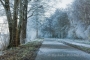 winter-eisdecke-raureif-bilder-landschaften-steinhuder-meer-fotos-RX_01136