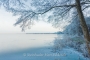 winter-eisdecke-raureif-bilder-landschaften-steinhuder-meer-fotos-RX_01138