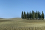 landschaft-Toscana-Toskana-Crete-Senesi-Zypressen-Baumgruppe-Baeume-Baum-Italien-A_DSC2507a