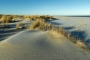landschaft-sand-duenen-strand-hafer-meer-kueste-ellenbogen-list-Sylt-C_NIK_4342 Kopie