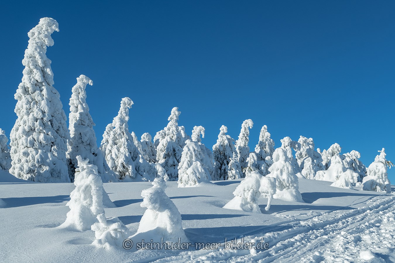 harz-mystische-baum-baeume-blauer-himmel-gestalten-figuren-schneebedeckte-winter-schnee-verschneit-landschaft-Sachsen-Anhalt-C_NIK_3576 Kopie