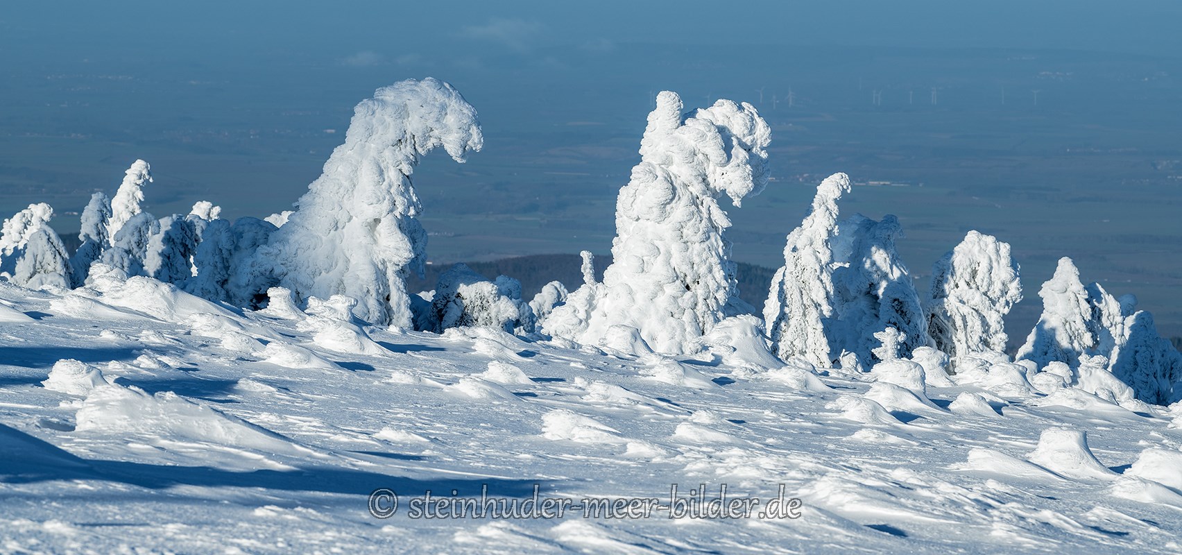 harz-mystische-baum-baeume-gestalten-figuren-schneebedeckte-panorama-winter-schnee-verschneit-landschaft-Sachsen-Anhalt-C_NIK_3720 Kopie