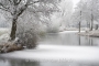 winter-eisdecke-raureif-bilder-landschaften-steinhuder-meer-fotos-A7RII-DSC01149