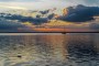 Sonnenuntergang-Steinhuder-Meer-Abend-Stimmungen-Landschafts-Bilder-Fotos-A_Z7A_2713-Kopie