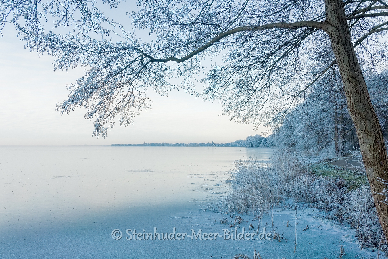 hagenburg--winter-steinhuder-meer-eisdecke-schnee-zugefroren-eisdeckedecke-naturpark-naturraum-region-RX_01138