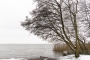 mardorf-winter-steinhuder-meer-eis-schnee-zugefroren-eisdecke-naturpark-naturraum-region-A_SAM0407